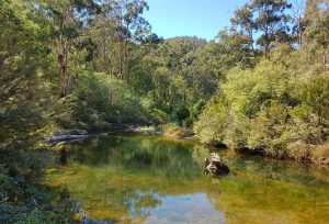 Aberfeldy River at Baw Baw National Park, a great spot for off road camping near Melbourne 